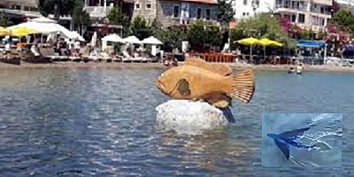 Datça'da kıyıya yakın alanda uçan balık görüldü
