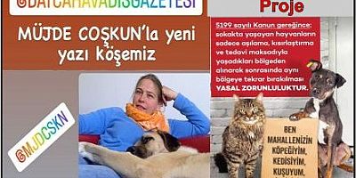 Meçhule Açık Proje