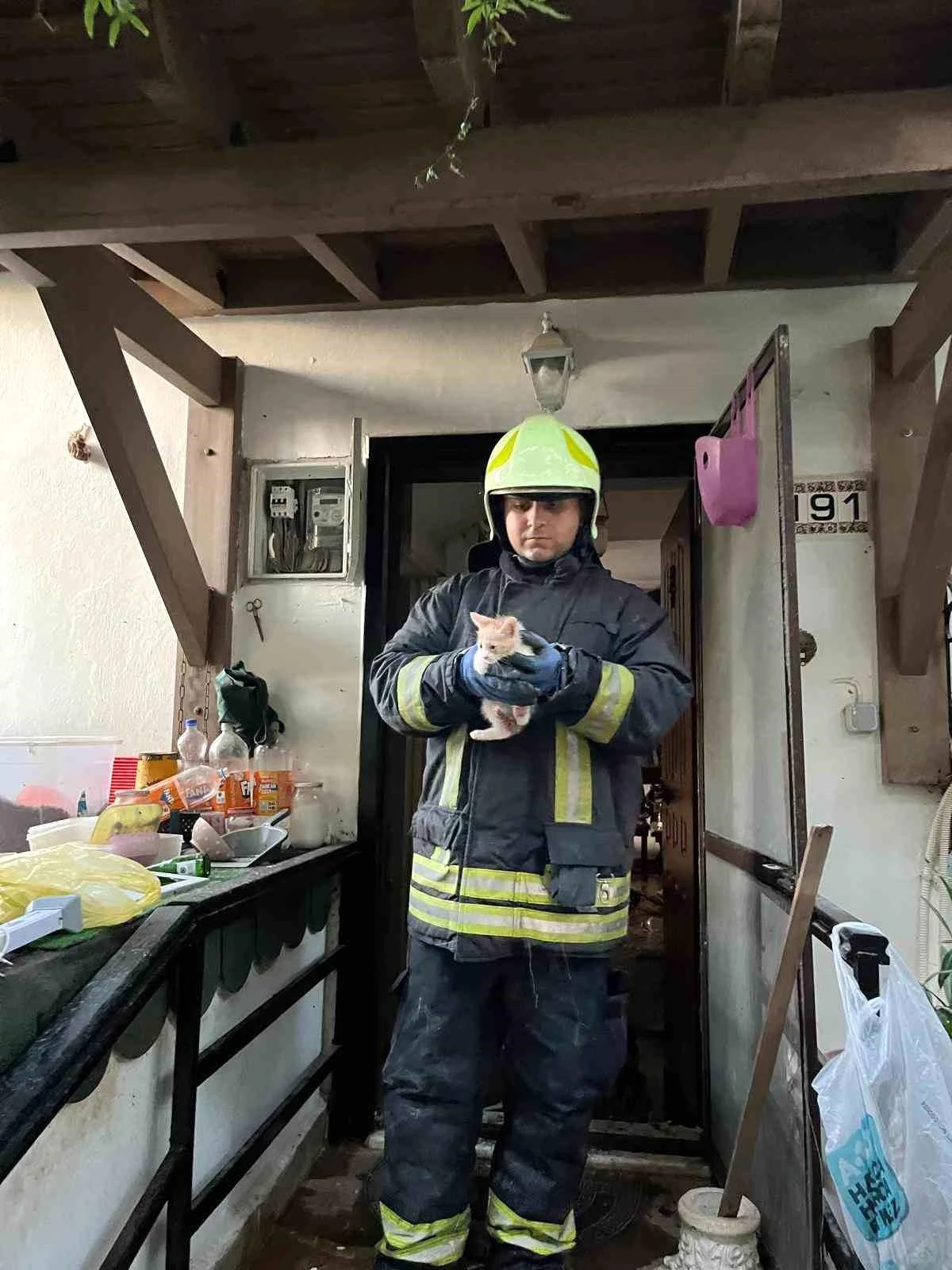 Bodrum'da çıkan yangında 6 kedi kurtarıldı