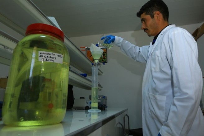 Büyükşehir Distilasyon Tesisi Muğla’nın Aromatik Bitkilerini İşliyor