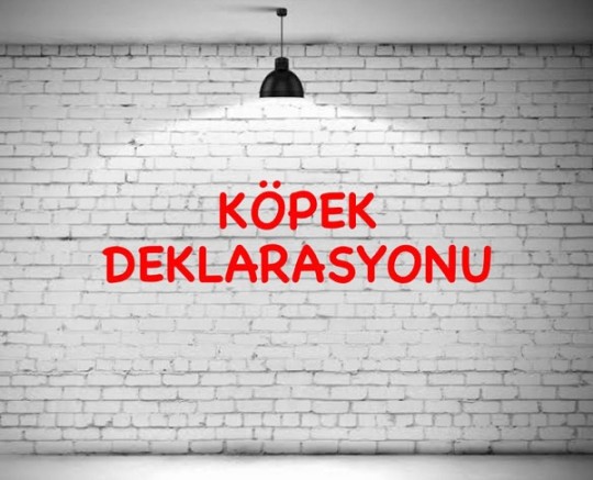 KÖPEK DEKLARASYONU