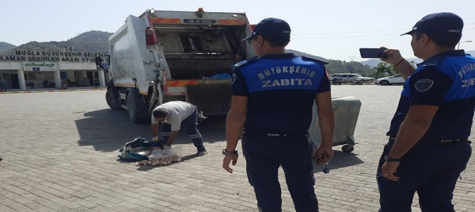 Büyükşehir Zabıtası Gıda Denetimlerine Devam Ediyor