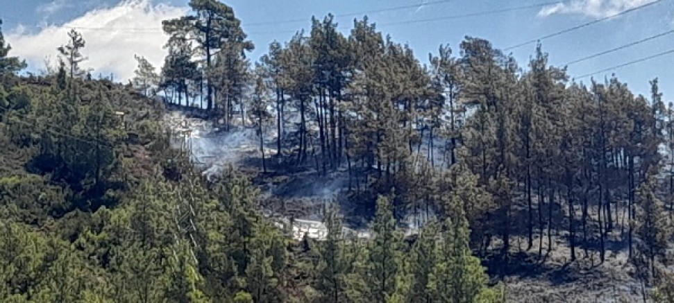 Marmaris’te orman yangınına DATÇA MAG AME ekibide müdahalede bulundu 