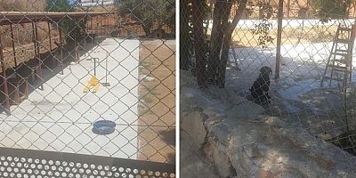 Datça Belediyesi’nin Barınak Açıklamaları yeni soru işaretleri yarattı…