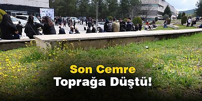 Muğla'da Baharın Kapıları Ardına Kadar Açıldı: Cemre Toprağa Düştü!