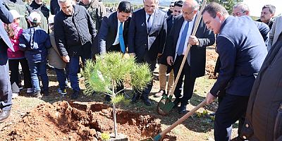 Orman Haftası Etkinlikleri Kapsamında Muğla’da 30 Bin Fidan Toprakla Buluştu